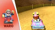 The Wario racing suit