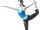 Wii Fit Trainer
