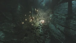 Other World | Amnesia Wiki | Fandom
