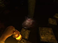 A Kaernk eating flesh.