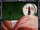 The Gut