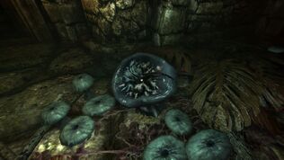 Amnesia Poison mushroom