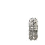 ATDD Bottle Absinthe Label texture.png (86 КБ) Текстура