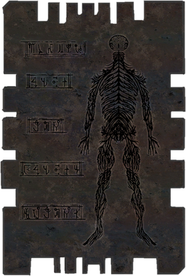Dw tablet nerv body