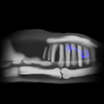 Изображение картины