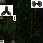 ATDD Orchid Rotten texture.png (103 КБ) Текстура