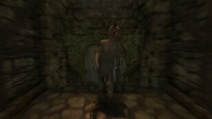 Brute2