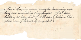 Note salim diary p2