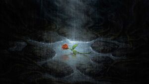 ATDD Damascus Rose.jpg