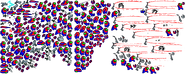 A collection of kill animation sprites.