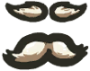 Heimerdinger's Moustache