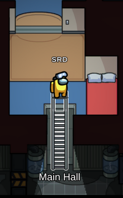 Ladder Among Us Wiki Fandom