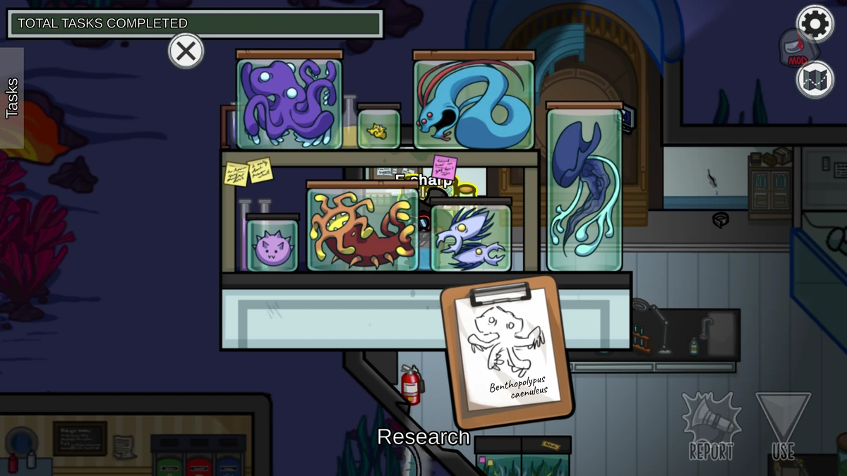 ModSubmerged/Identify Specimen Among Us Wiki Fandom