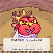 The emergency shell on The Fungle with zero emergency meetings left to call.