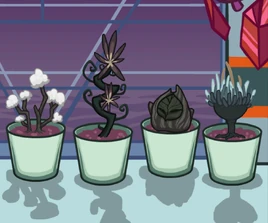 Stage 2 (The Fungle)