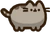 Pusheen pet
