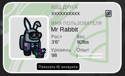 Основная информация игрока