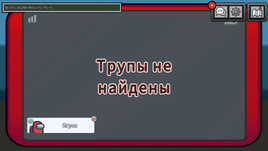 Трупы не найдены