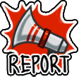 Report