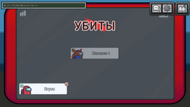 Трупы найдены