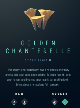 Golden Chanterelle