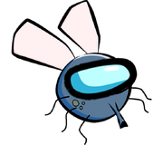 Flyus