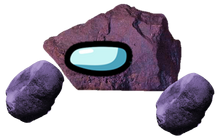 Irus amalgamation
