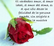 Frases-de-amor-cortas