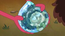 Blue Moon Shell