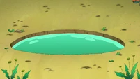 S1E6A-Small pool.jpg (432 KB)