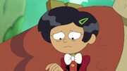 Marcy apologizes for the destruction of Wartwood.