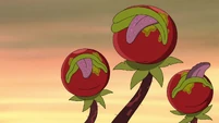 S1E3A-Tomato monsters dying.jpg (161 KB)