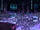 Proteus