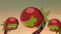 S1E3A-Tomato plant monsters.jpg (147 KB)