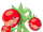 Carnivorous tomato plant/Designs