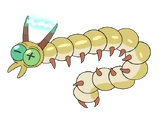Zapapede