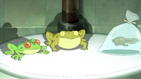 Ordinary frogs.png (5.92 MB)