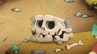 S1E6A-Skull.jpg (500 KB)