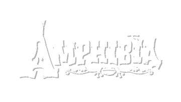 Disney Shares 'Amphibia' Season 3 Premiere Date, Clip and Guest Voice Cast