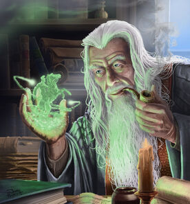 Wizard, Amsnorth Wiki