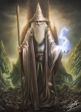 The mystical wizard