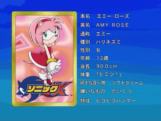 1 Amy Rose Sonic X