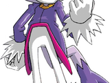 Blaze The Cat