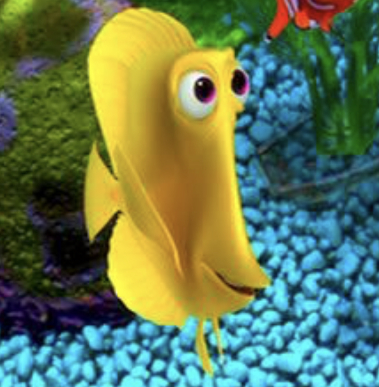 Bubbles An-Yellow-Tang Fish | The 5D-Combined-Shared