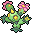 Maractus
