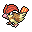 Pidgeotto