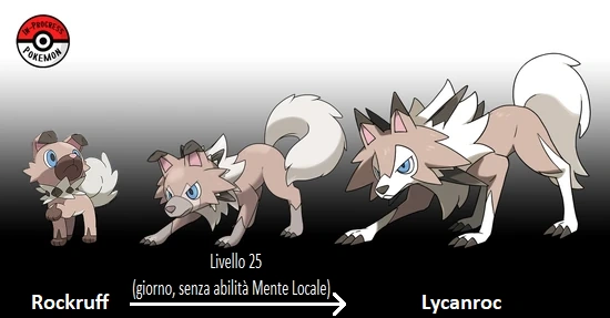 Lycanroc | Analisi Pokémon Wiki | Fandom
