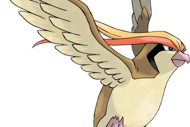 Categorie Pokémon | Analisi Pokémon Wiki | Fandom