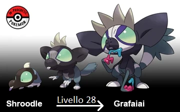 Shroodle (Pokémon) - , The Community-driven Pokémon - Foto 7