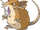 Raticate